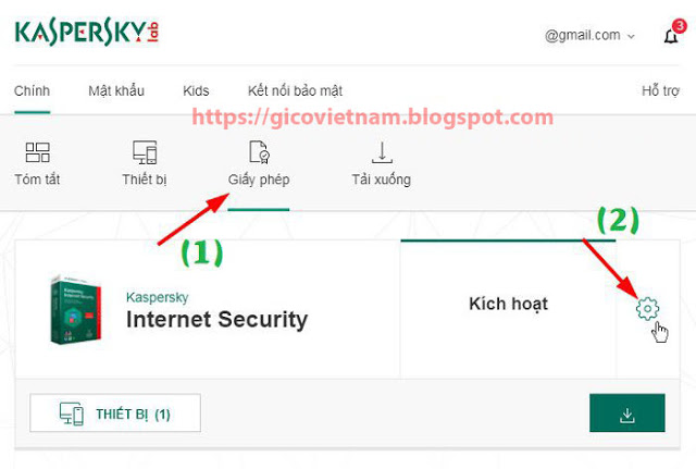 backup cd key kapersky internet security